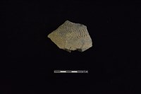 藏品(陶片)的圖片